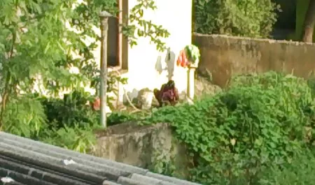 تازه کار در ساک عکسهای سکسی عروس وداماد زدن, پرستو