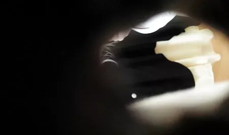 زیبا و دلفریب, ساک زدن, تصاویر سکسی و لختی نوجوان