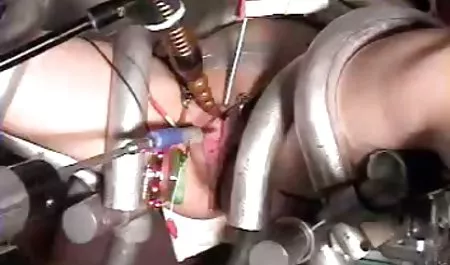 سگ ماده عکس های سکسی هلن هانا