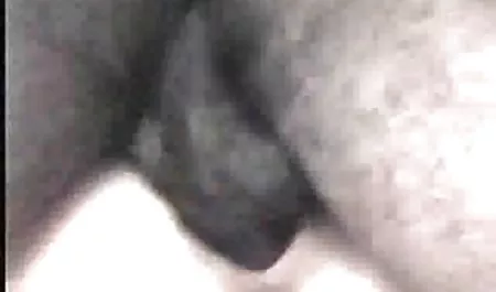 سیاه, دخترک معصوم, سرنا شیر میله خود را مانند یک واقعی فاحشه فیلم سوپر کسی