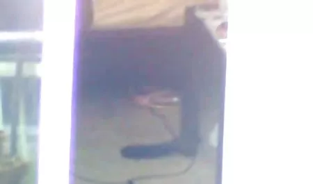 در عمل لینک کانال فیلم سکسی تلگرام در وب کم