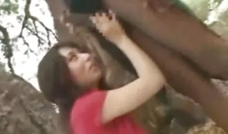 همه چیز در مورد کسب و عکسهای سکسی کتی پری کار