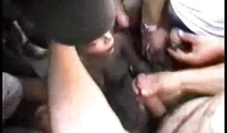 دریافت اولیه هدیه کریسمس کلیپ س ک ۳۰ از گربه!