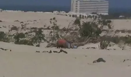 پس دانلود عکس کیر و کون از یک زن